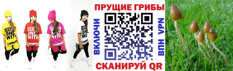 Псилоцибиновые грибы мицелий  Щучье 